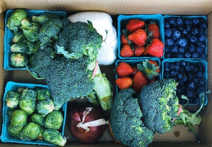 South Fork Farms Pivot and Adapt The East Hampton Star